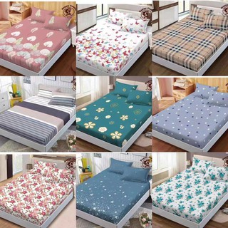 S&L NEW 3in1 Diverse styles Modern Fashion cotton bed sheet&2 pillow cases bedsheet set Single size