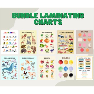 Bundle laminating charts