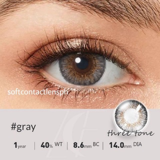 FREE SHIPPING + COD 3 tone Gray Normal Size Contact Lens