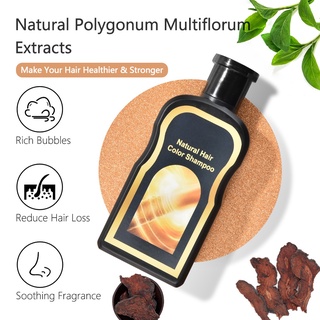 Polygonum multiflorum natural herbal black hair shampoo for hair loss treatment shampoo 200ML (6)