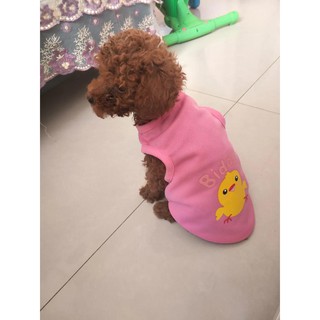 Ready Stock Dog Shirt Cat Vest with Cute Cartoon Print Breathable Chihuahua Clothes Pet Summer Clothes (6)