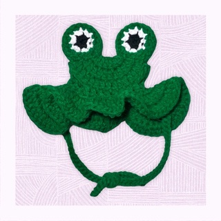 Crochet frog hat for dogs / cats (1)