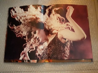 Taylor Swift Speak Now World Tour Book (3)
