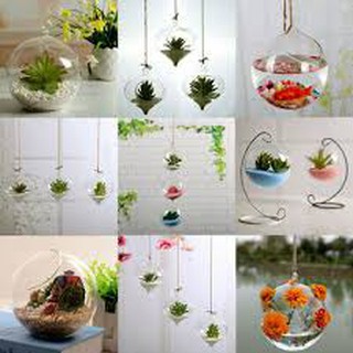 【Ele】8cm Hanging Glass Flowers Plant Vase Terrarium Container (5)