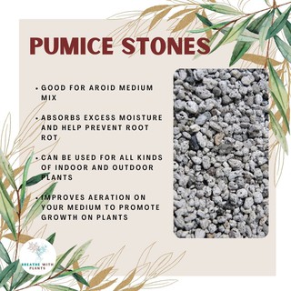 Pumice Stones for Potting Media (Mungo, Matanghito)