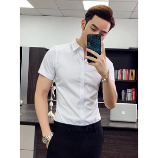 [5 colors]Plain Short sleeve polo for men Korean style
