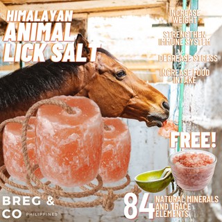 Animal Lick Salt 2-3KG | Himalayan Lick Salt for Farm Animals | 100% Authentic w/ FREE PINK SALT