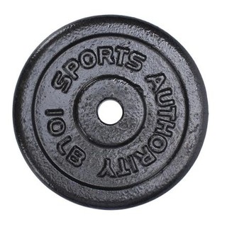 Gym Plates 10lbs for Dumbbells Barbells GYMBOY 10 lbs Dumbell Barbell Plates FREE WORKOUT MANUAL