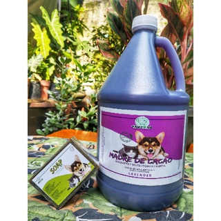 Madre De Cacao Shampoo & conditioner with Guava Extracts 3.4 Liters Lavender Scent & Premium Soap