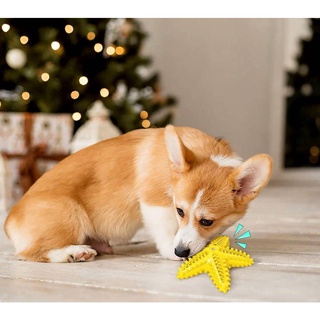【Ready Stock】◈✼▬Rubber Dog Chew Toys Toothbrush Teeth Cleaning Toy Pet Toothbrushes Brushing Stick