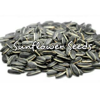 Sunflower Seeds (1kg) for Sprouting (1)