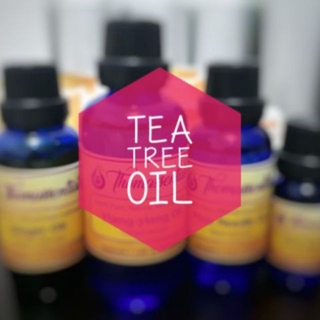 Thomassentials Tea tree oil
