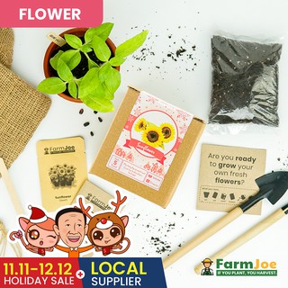 Growing Kit SUNFLOWER DWARF • Seedling Kit • Seed Starting Kit • Grow Kit • FarmJoe