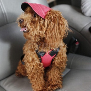 ☜☎▫Summer Puppy Pet Cat Cute Canvas Print Cap Baseball Hat Small Dog Outdoor Hat (7)