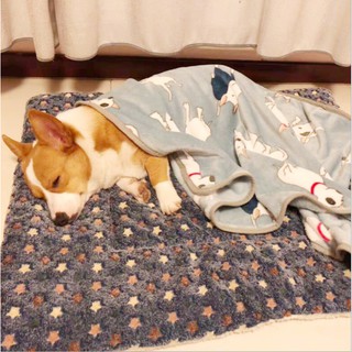 Pet Bed Mat Cat Bed Dog Bed Washable Sleeping Warm Soft Pet Mat Cat Mat Dog Mat Puppy Beds For Dogs (5)