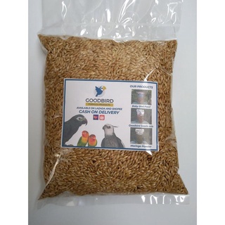 bird feed✜Canary Seeds For Budgies, African Love Birds, Canary, Cockatiels, and Other Birds 300 Gram