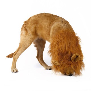 Dog Lion Wigs Mane Hair For Party Halloween Festival