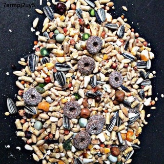 ◙✘HAMSTER Daily Food Mix with Treats 500g