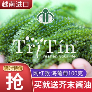 100 grams of sea grapes 6 kinds of different tastes 料 料 水 食