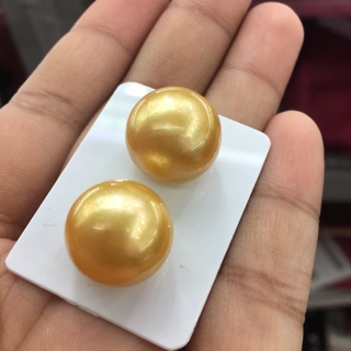 Golden Southsea Pearls