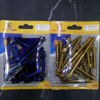 Crankase bolt from thailand only for raider fI