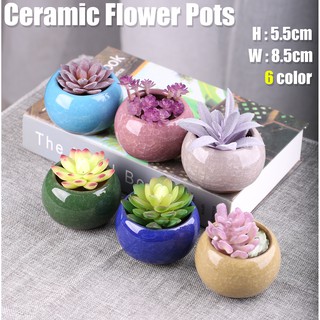 COD New Style design Ceramic Flower pot (8001)
