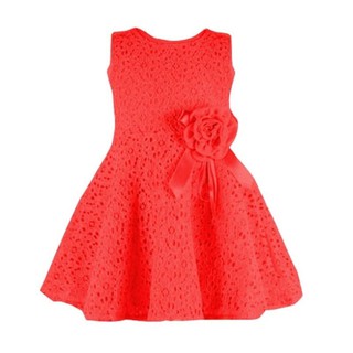 💋💋👯👗Baby Girls Bowknot Lace Floral Party Princess Dress (3)