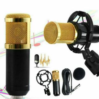 BM-800 Condenser Microphone Kit For KTV Karaoke Wired Sound Recording Condenser Microphone Mic (1)