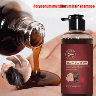 Polygonum multiflorum white to black shampoo