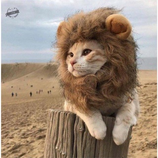 Pet HatsInternet Celebrity Pet Cat MeToo Ears Lion Headgear Rabbit Cat Hat Cute Birthday Christmas H
