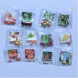 Vegetables Seeds & Fruits Sds / Sold per pack / Batch A