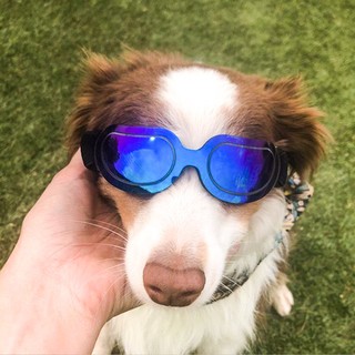 pet EyewearDog Glasses Sunglasses Pet Products Colorful Sunglasses Small and Medium-Sized Dogs Sungl
