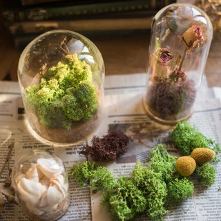 【READY STOCK】Decorative Clear Glass Cloche Bell Jar Display Case Cover with Rustic Wood Base Tabletop Centerpiece Dome Terrarium Container (5)