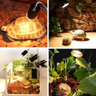 25W / 50W / 75W UVA+UVB Reptile Lamp Bulb Turtle Tank Basking Light Bulbs Heating Lamp