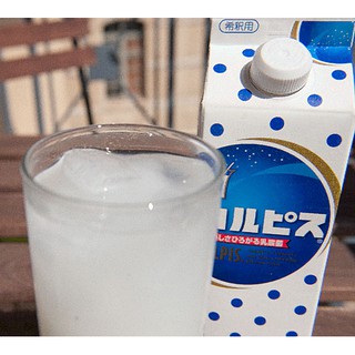 Japan Calpis Water/Concentrate (4)