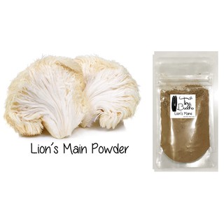 organic lion's mane lion lions extract mushroom powder 25g superfood (1)