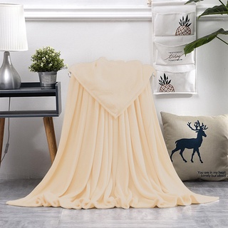 Pally Corner Soft Warm Coral Fleece Flannel Blanket For Beds Solid Color Kumot (180x200cm)