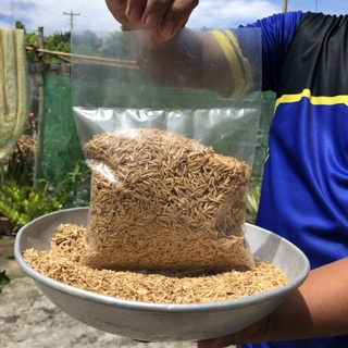 Rice Hull (Ipa) 1 Kilogram (5)
