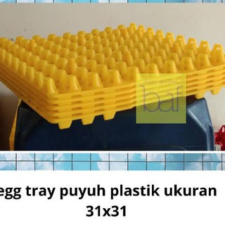Present.. Quail Egg tray Package 5 pcs Quail Egg tray 51
