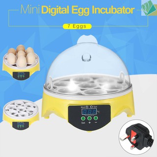 Sici 7 Eggs Mini Digital Egg Incubator Hatcher Transparent Eggs Hatching Machine Automatic Temperature Control for Chicken Duck Bird Eggs AC220V
