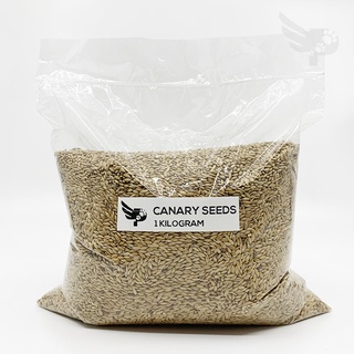 Canary Seeds 1kg Repacked - Bird Feeds - petpoultryph