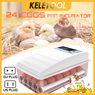 ✴24 Eggs Automatic Incubator Thermostatic Chicken Hatching Machine Egg hatch (1)