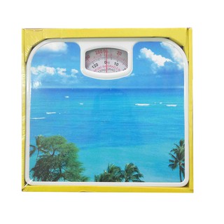 General Master Mechanical Personal Scale WEIGHING SCALE