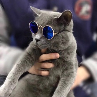 [ready stock]❈♛◇Dog Cat Pet Glasses Creative Trend Pet Sunglasses