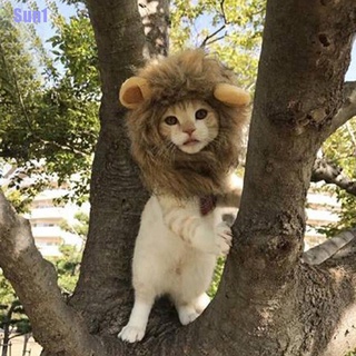 Sun1> Pet Dog Hat Costume Lion Mane Wig For Cat Halloween Dress Up With Ears