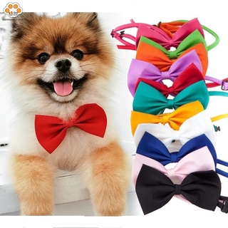 Pet Collar Adjustable Bowknot Tie Cat Puppy Dog Collars