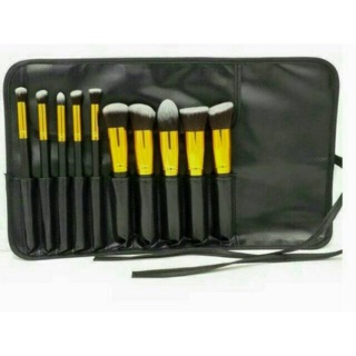 10pc brush with pouch