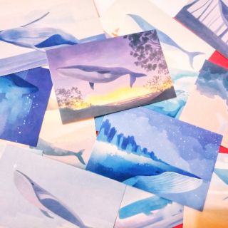 2pcs Aesthetic Glorious Whale shark Postcard creative paper
