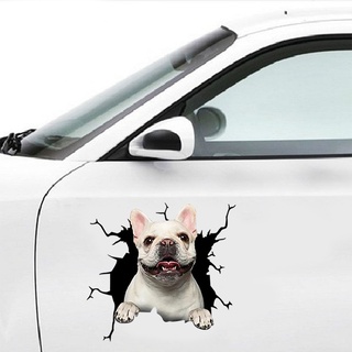 2021 Dog Crack Car Sticker Creative Home Car Wall Windows Decoration Sticker Pitbull Dachshund Husky Bulldog Crack Toilet Sticker Fridge Sticker DXY (6)