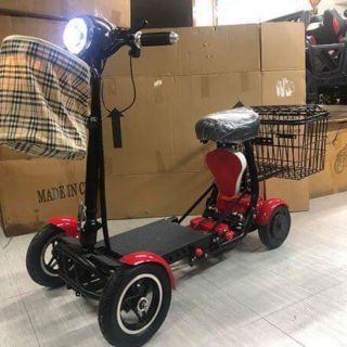 Electric Scooter Ride On